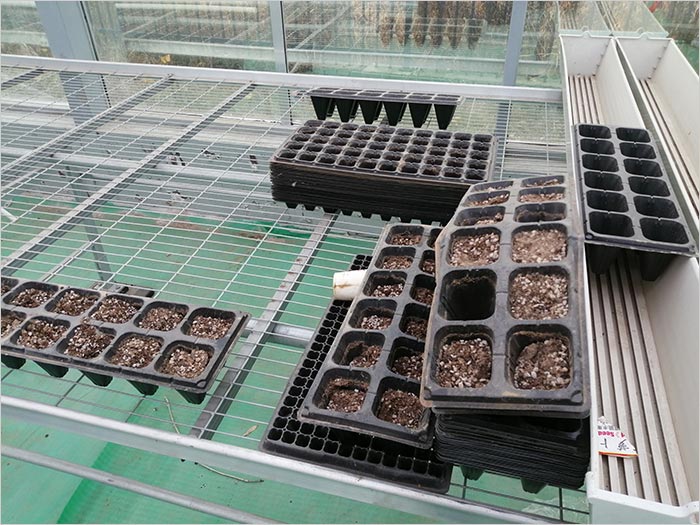 Greenhouse breeding tank