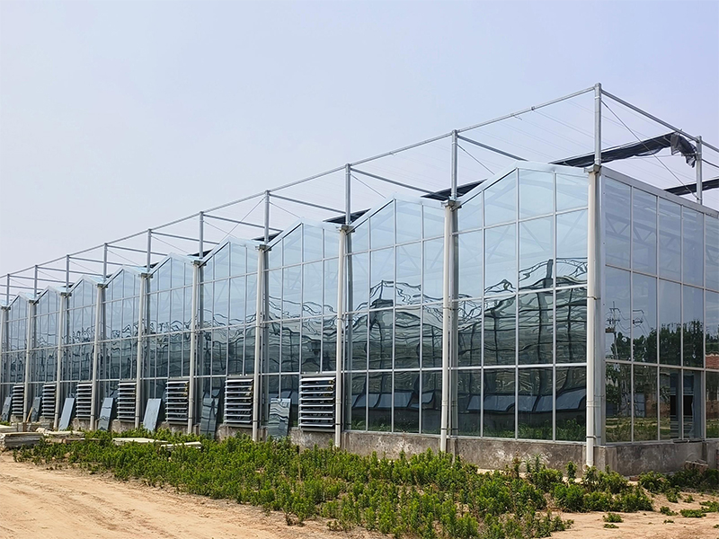 Glass greenhouse
