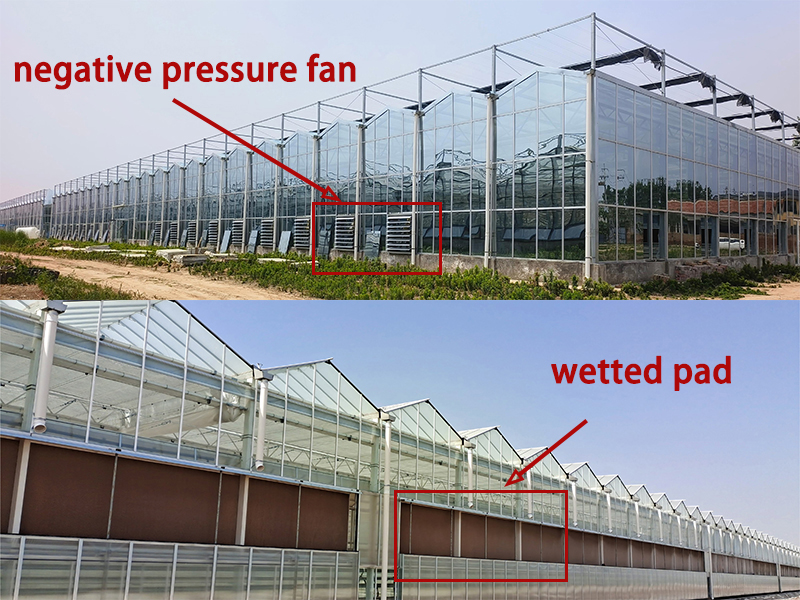 Cooling system
